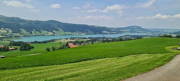 20250611_140053.jpg